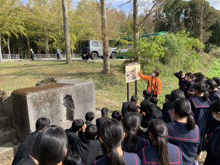 4e01071df2994db1b1dfb9647f4b069b