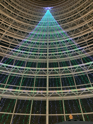 772dead56a1d48b2b0e41024eace9c01