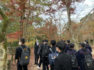 53c7a49cdb7d43799c2db4d99a7e57d6