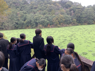 53e5dd2fd61a4467958700e835fef298