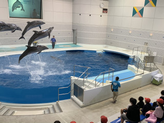 A7f9bbe4f7a948c2bda2fb303d4dffe7