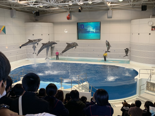 8e190a6cb99b4770aab010d1eac54a56