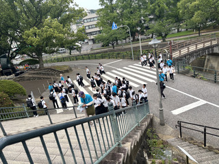 Img_0172 Img_0172