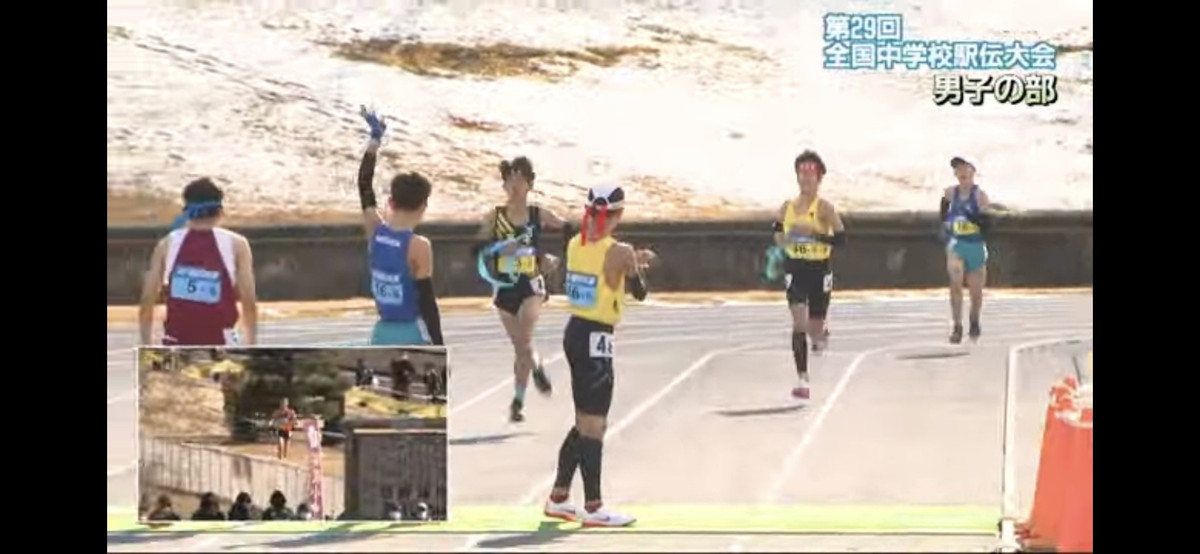 37d152944768430d911a3c0f54b7917d