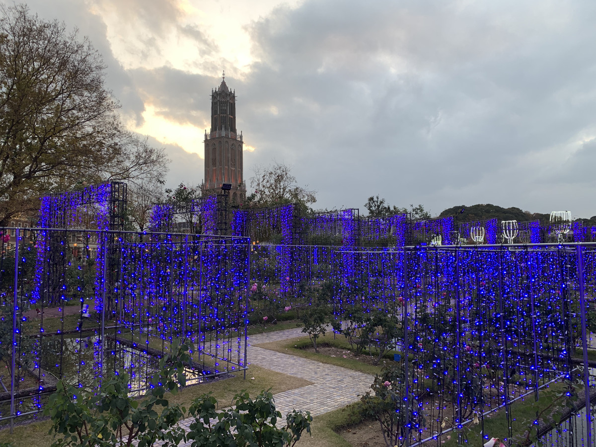 E347a2c895d34e9a93c810999eb8ab66